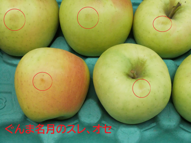 2025年産_家庭用りんご / 包装不可 - りんごの青研