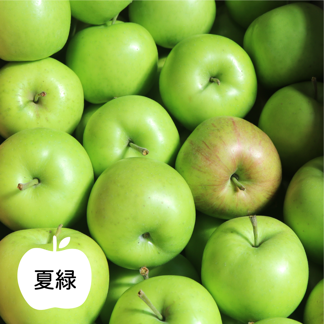 2024年産りんご開市！ - りんご大学ブログ