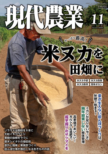 現代農業 2025年11月号』農文協編 - 田舎の本屋さん