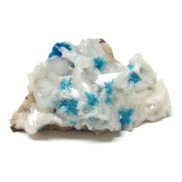 岡山のパワーストーン、風水・開運グッズのお店 龍祥本舗 / ペンタゴナ