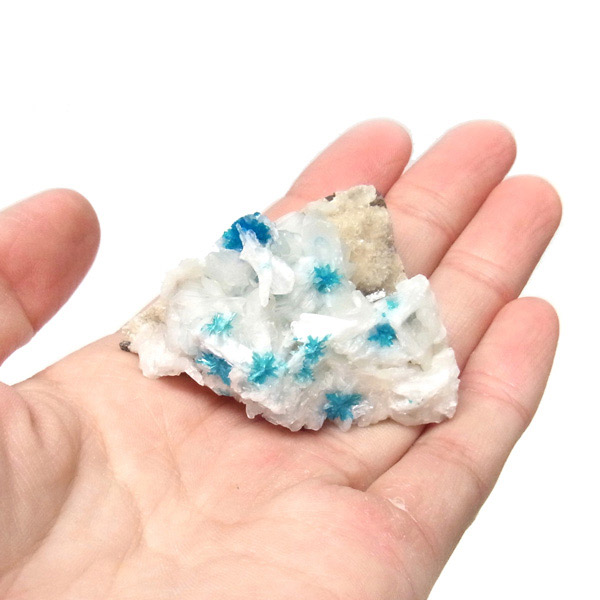 岡山のパワーストーン、風水・開運グッズのお店 龍祥本舗 / ペンタゴナ