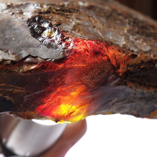 天然化石 琥珀 チェリーレッド ブルー アンバー 宝石 原石 天然石 鑑賞