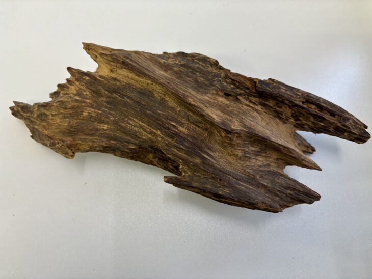 香木 沈香 買取価格相場｜骨董品買取 緑和堂