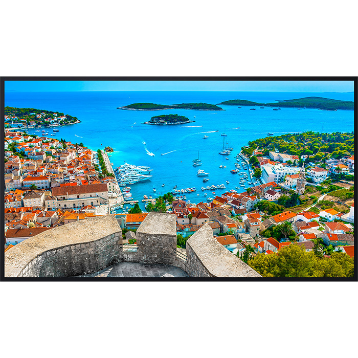 TH-50SQE2J パナソニック 4K UHD 液晶ディスプレイ TH-50SQE2J