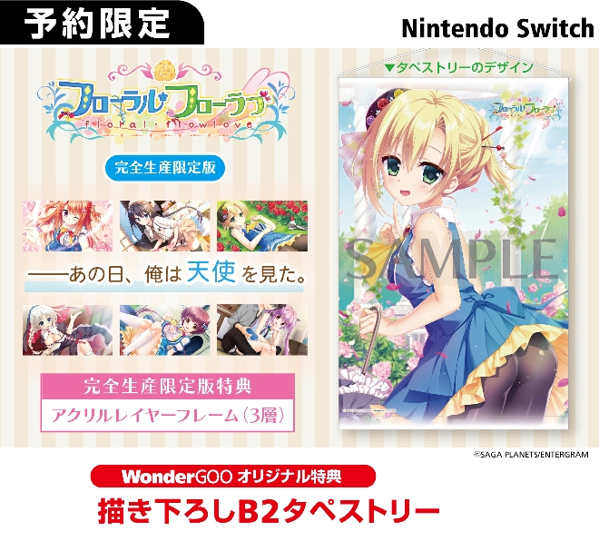 Nintendo Switch フローラル・フローラブ【オリ特】描き下ろしB2