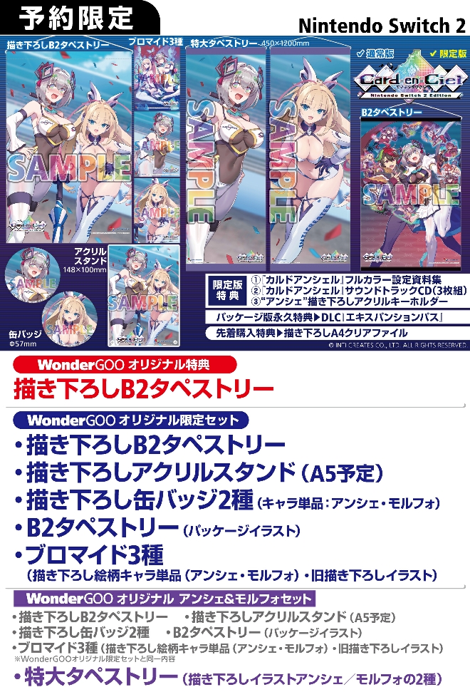 Nintendo Switch2 カルドアンシェル Nintendo Switch 2 Edition