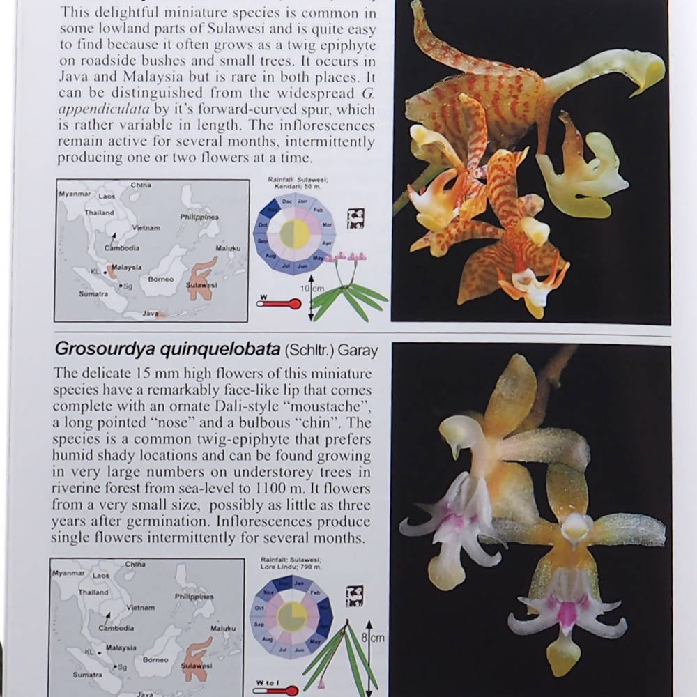 Book: A to Z of Southeast Asia Orchid Species - Woon Leng Nursery