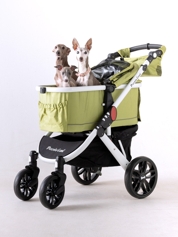 スーパーオートバックスかしわ沼南 ： Piccolo Cane Garden 〈ペット