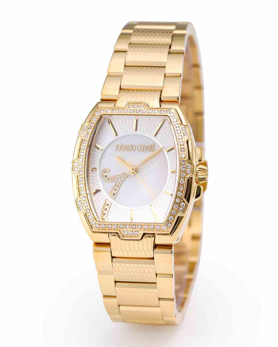 ロベルトカヴァリ バイ フランクミュラー RV1L114L0021 | WATCH WORLD