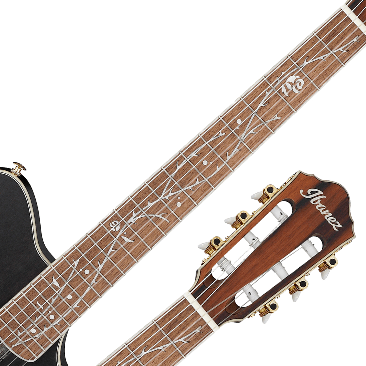 Ibanez アイバニーズ TOD10N TKF エレガット Tim Henson Signature