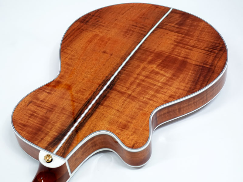 値下げ・タカミネ＜NPT-108＞日本製・エレアコ・薄いボディ TAKAMINE PT-108 DBS|ドルフィンギターズ