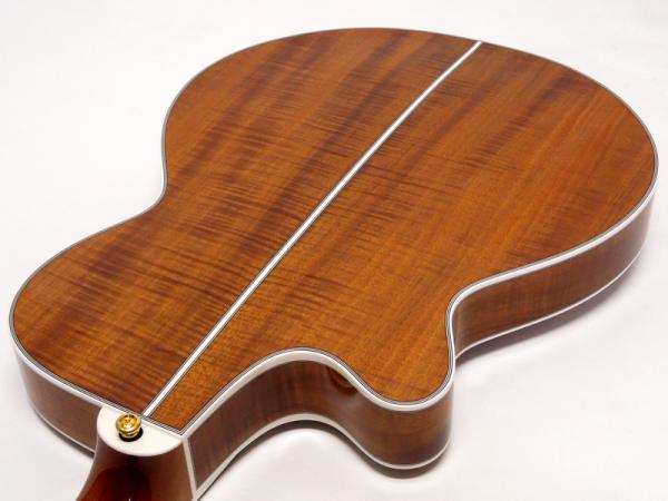 TAKAMINE タカミネ TSP178ACK N【薄胴ボディ 国産 エレアコ 】 送料