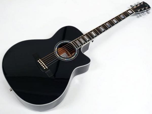 Morris モーリス R-15 MO 【OUTLET】 | ワタナベ楽器店 大阪店