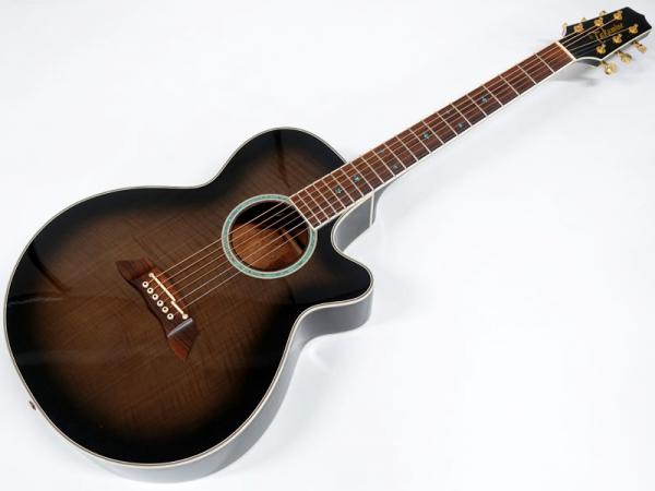 Takamine タカミネ PT-108 アコースティックギター エレアコ TAKAMINE PT-108 DBS|ドルフィンギターズ