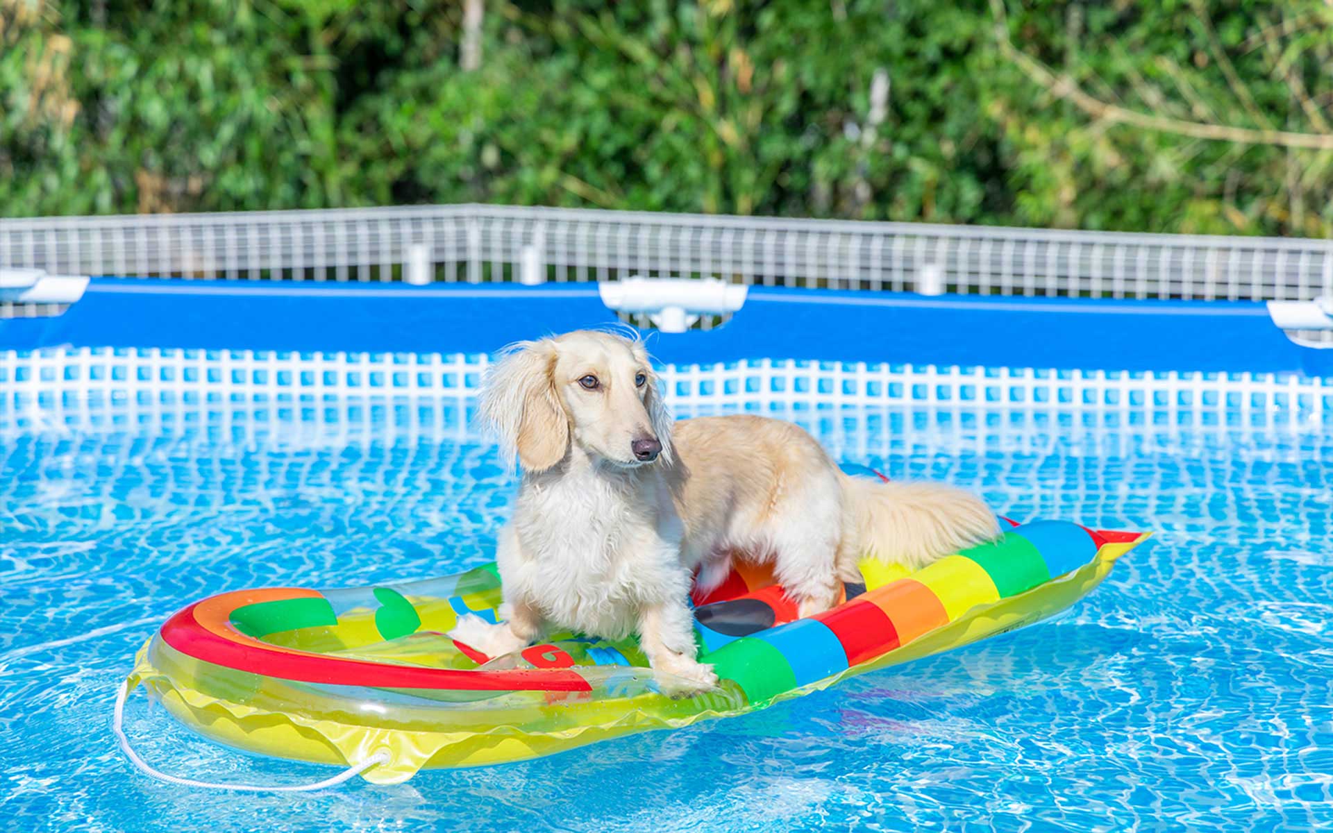 ドッグにグッドなグランピング和歌山北｜【リゾグラ】リゾートグラン