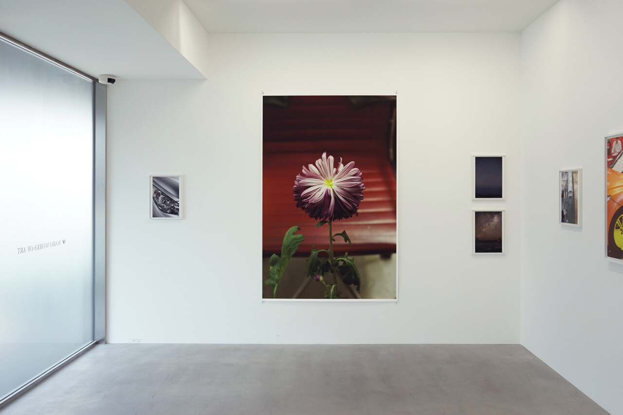 ヴォルフガング・ティルマンス | Affinity | Exhibitions | WAKO WORKS