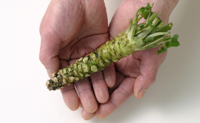 公式】わさラボ | 知ってるようで知らないわさびのフシギ