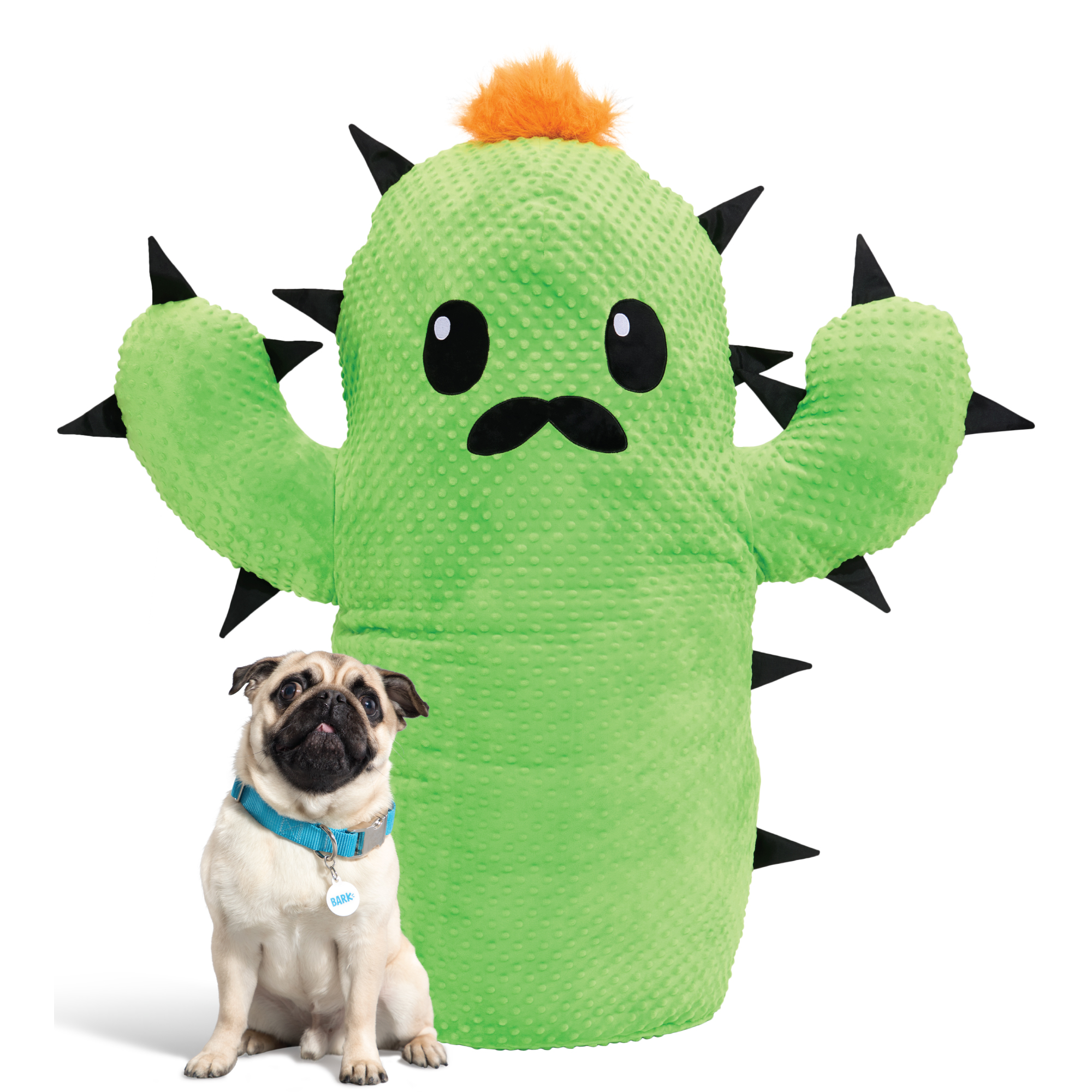 Chewy and BARK unveil limited-edition 'Giant Toy Collection' for