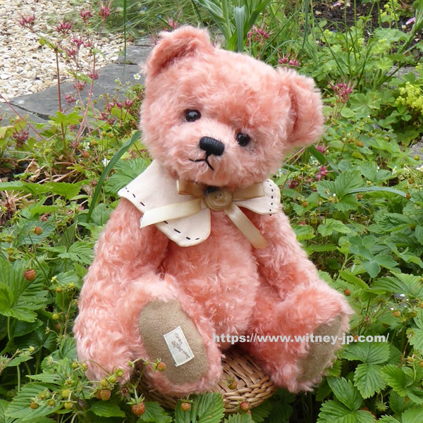 ディーンズ teddy chipper テディハリス テディベアオブウィットニー