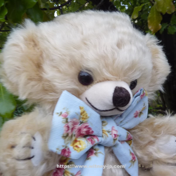 メリーソート チーキーカントリーローズ チーキー、パンキー