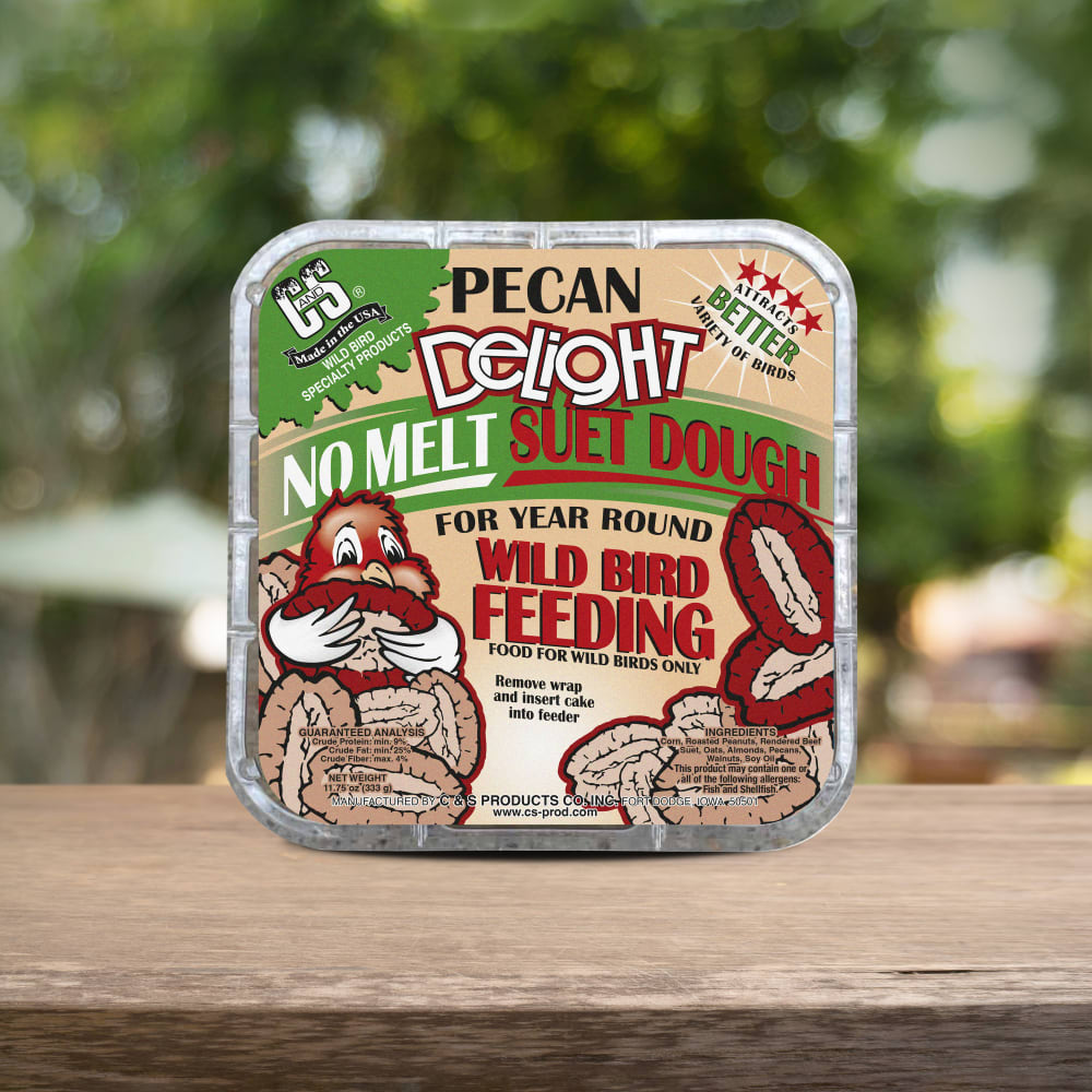 Pecan Delight No Melt Suet Dough | C&S Wild Bird Suet
