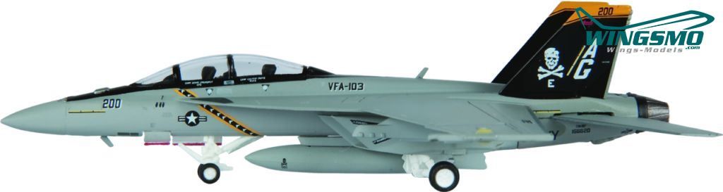 Hogan Wings F/A-18D, US Marines, VMFA(AW)-121 