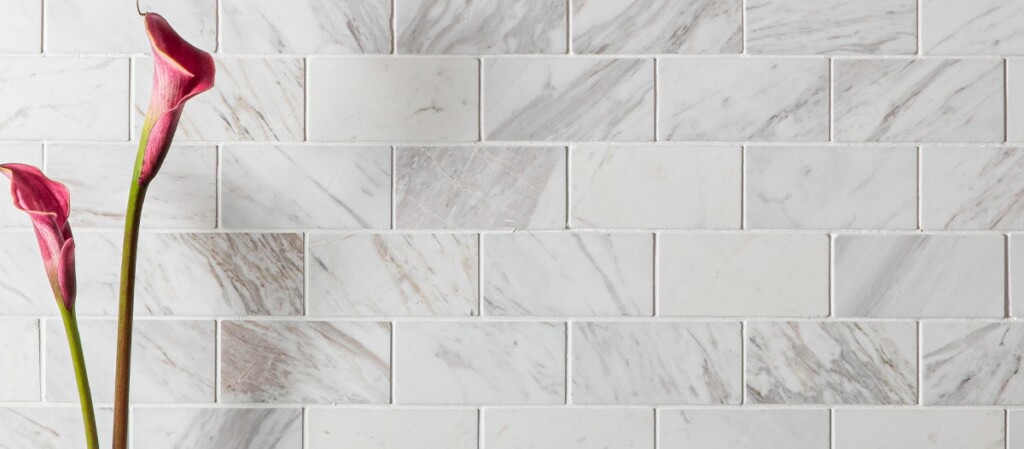 ラフィニタ | TNコーポレーション公式サイト