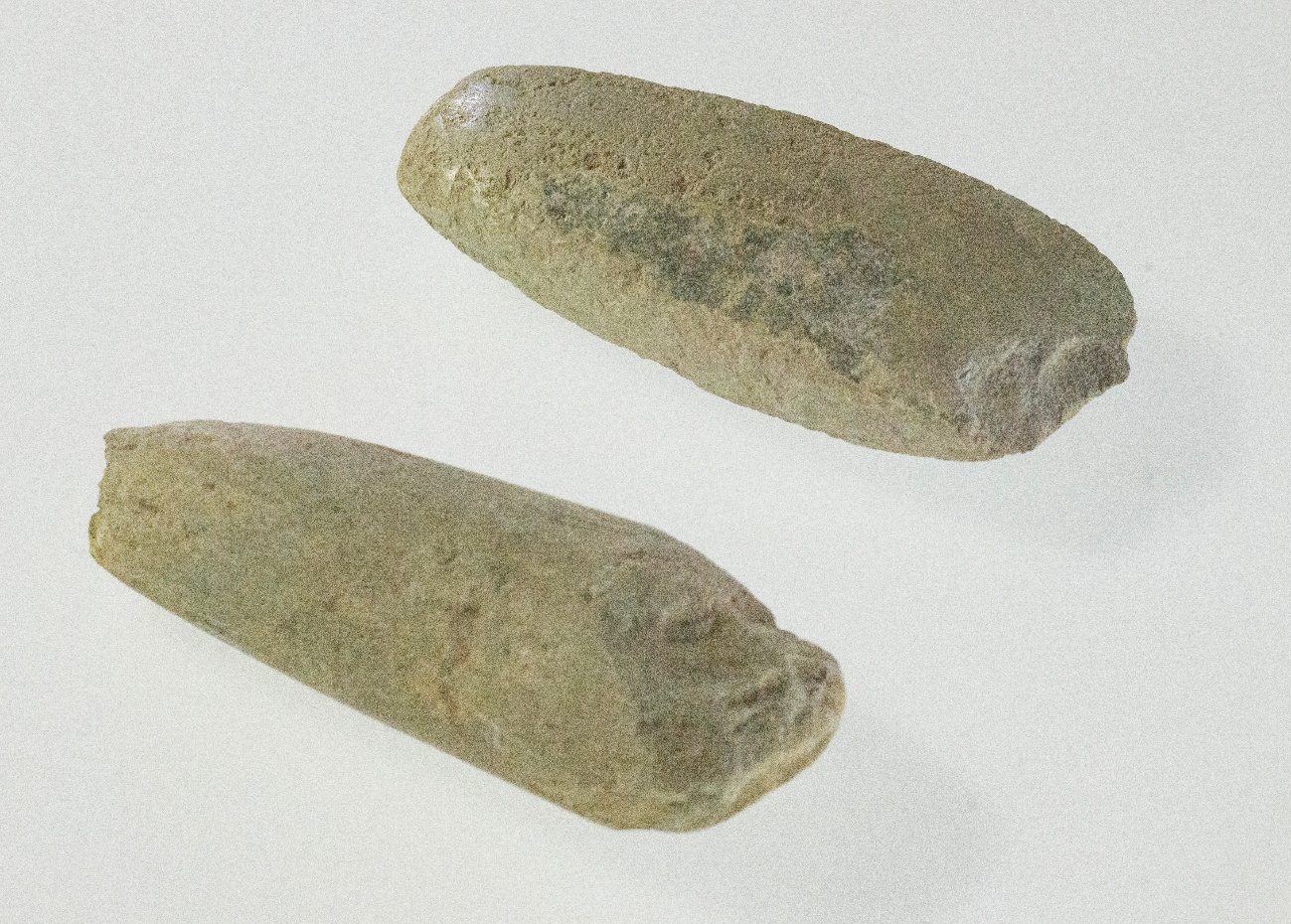 磨製石斧 | 鳩山町デジタル博物館 | 鳩山町公式ホームページ