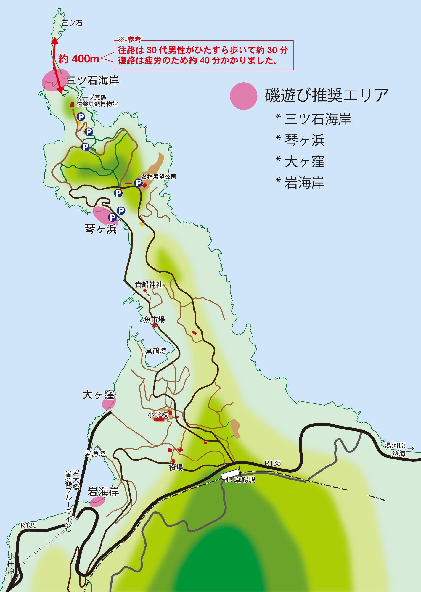 真鶴半島で磯遊び／真鶴町
