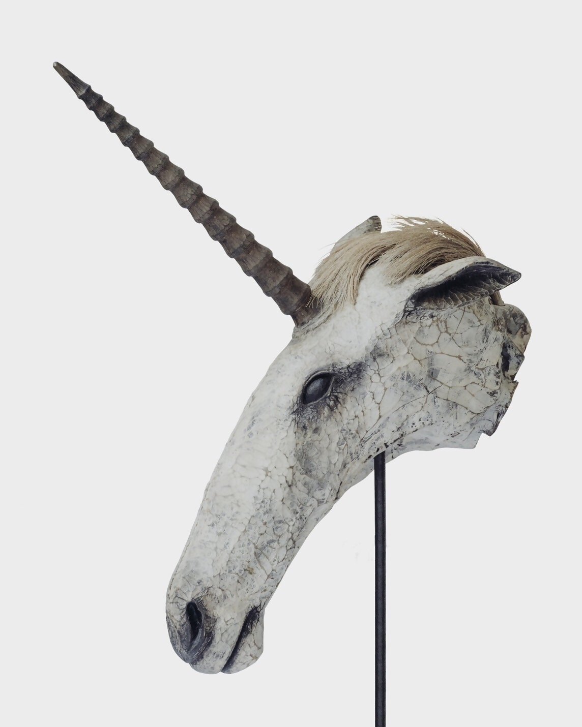 奈義町／【現在開催中】クロヌマタカトシ 現象