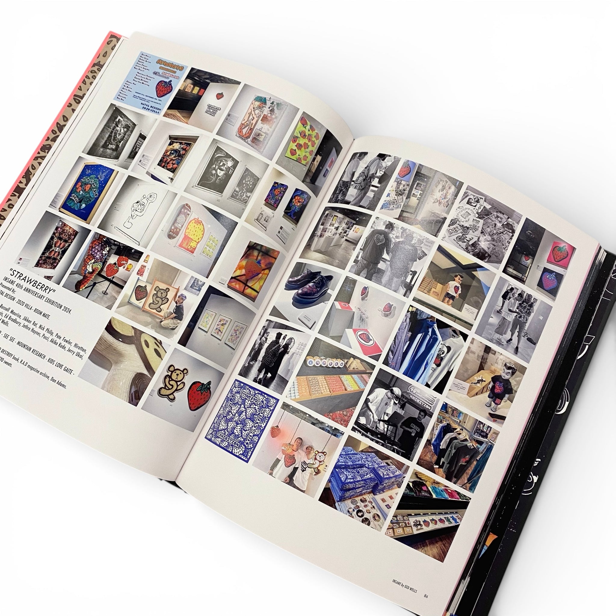 ANARCHIC ADJUSTMENT × insane A.I BOOK – TOXGO