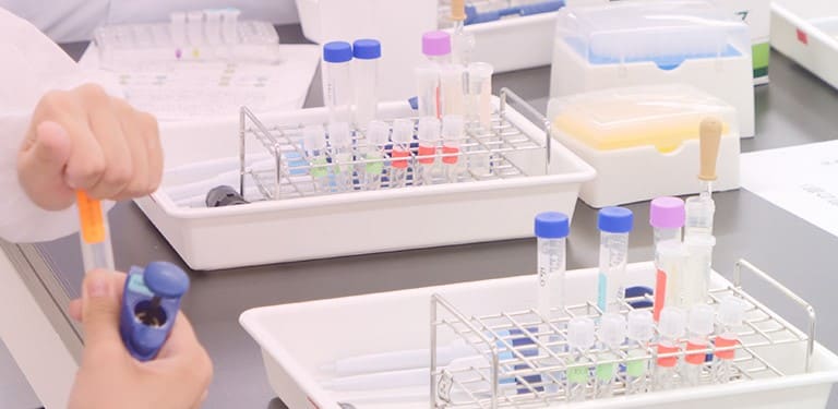 東京薬科大学 -オープンキャンパスサイト（1日東薬生 東薬生の1日を