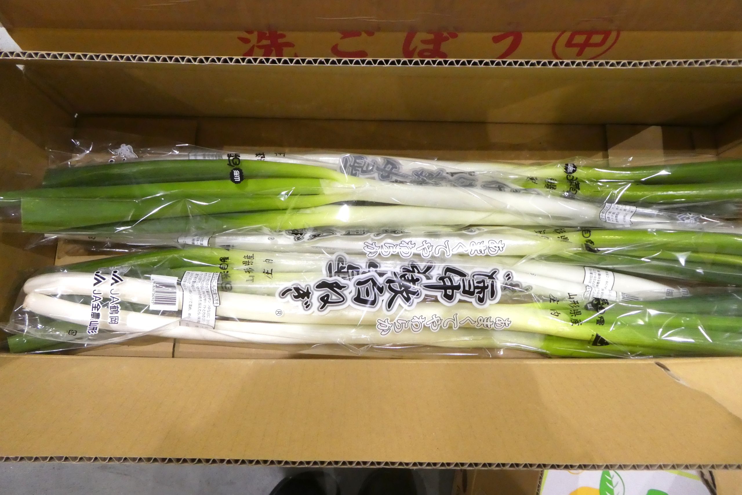 ネギ】山形県庄内産の「雪中軟白ねぎ」 | ザ・豊洲市場【公式】