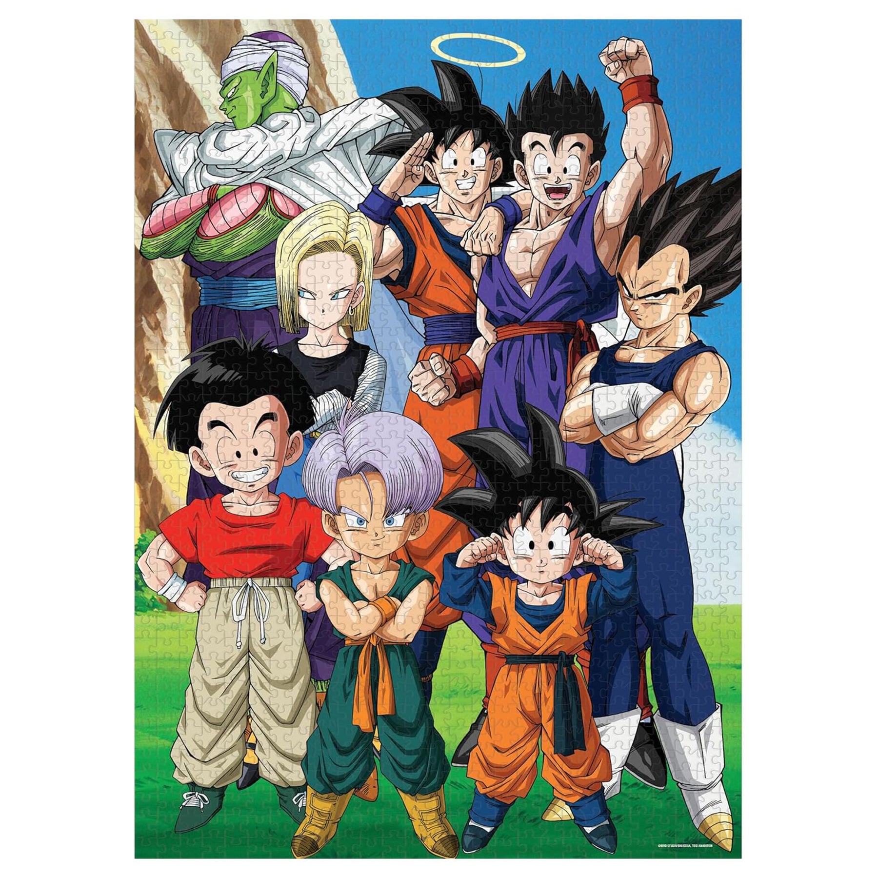 Dragon Ball Z Z Fighters 1000 Piece Jigsaw Puzzle | Free Shipping