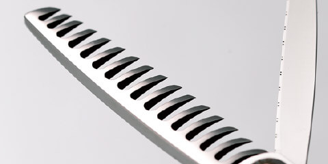 クイーンシグマ - TOGINON