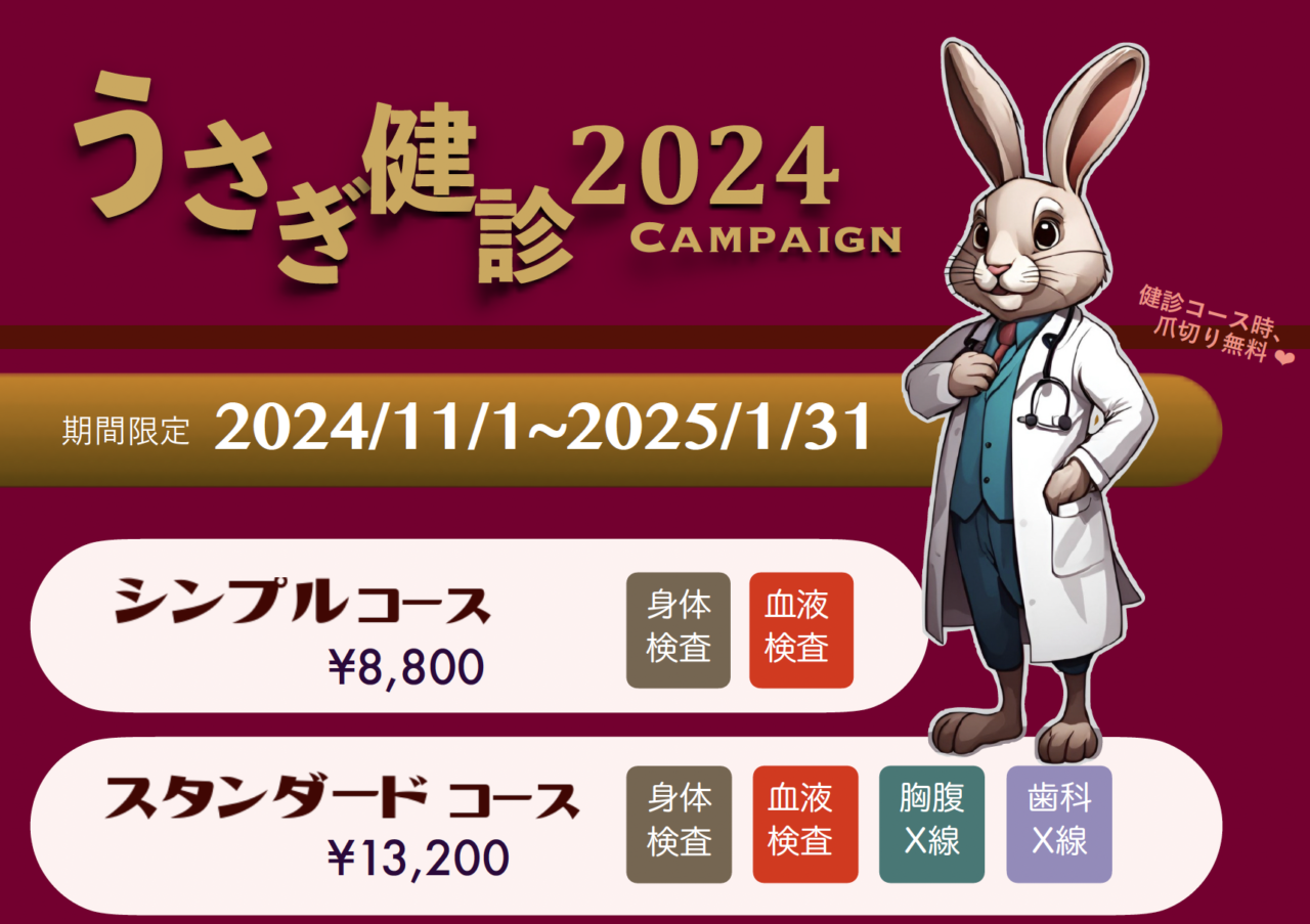 うさぎ健診2024のお知らせ | 岸和田のときわ動物病院