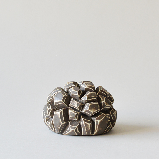 陶植 亀甲竜 | 多肉植物・特別な鉢の販売 | トーキー | TOKY