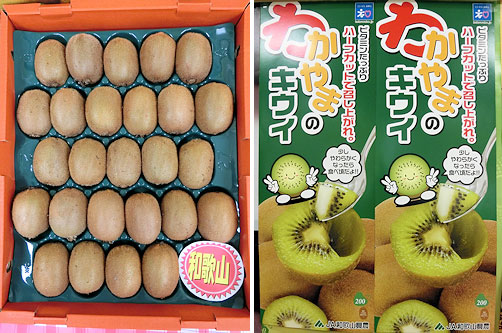 キウイ様2点 キウイ様2点 2種のキウイの酸味と甘