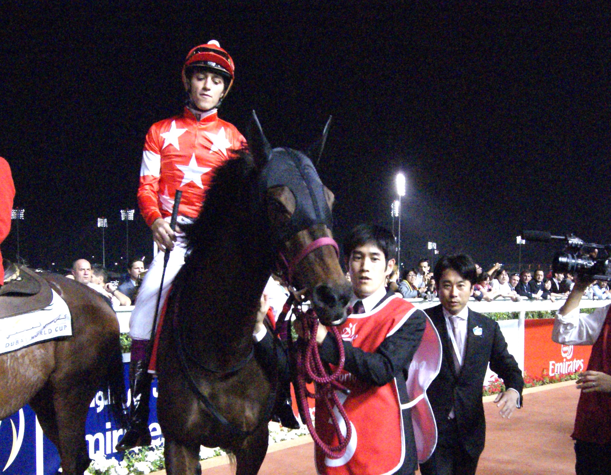 コラム詳細｜東京サラブレッドクラブ