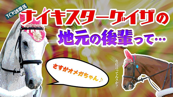 馬のことは馬に聞け！」キャンペーン実施中～ 今年最後のGⅠレース