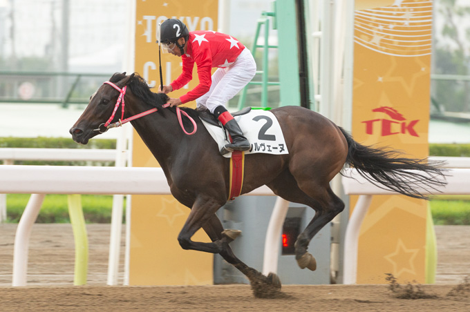 祝！7152勝 | 的場文男騎手 地方競馬通算最多勝利記録7152勝 特設サイト