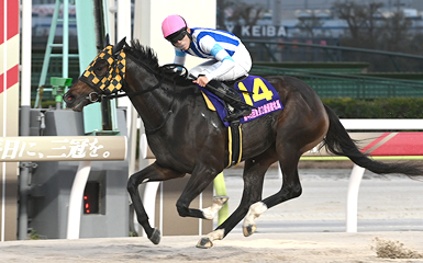 第48回 東京2歳優駿牝馬(SI) | 重賞レース | レースと日程 | 東京