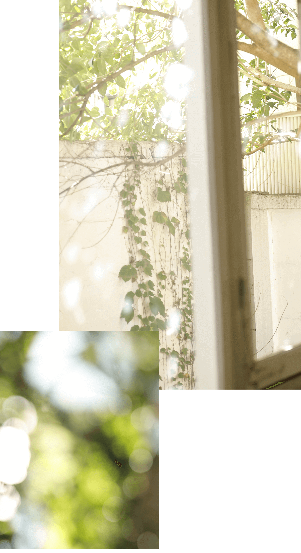 2023 New Collection_Vol.3 ｜ LIZ LISA（リズリサ）公式通販 ｜ Tokyo