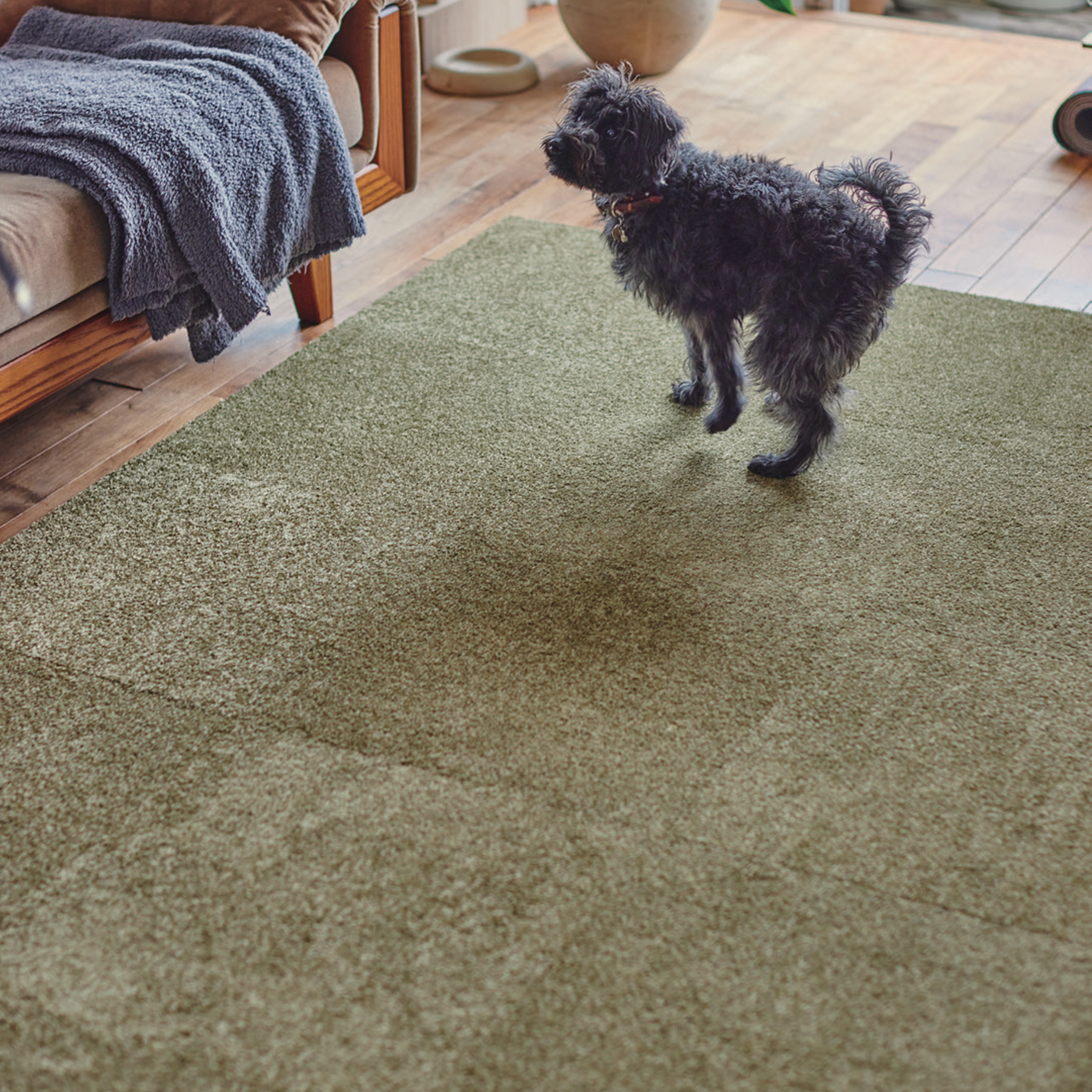 スクエア2400 ソワレ | 東リファブリックフロア | カーペット・ラグ