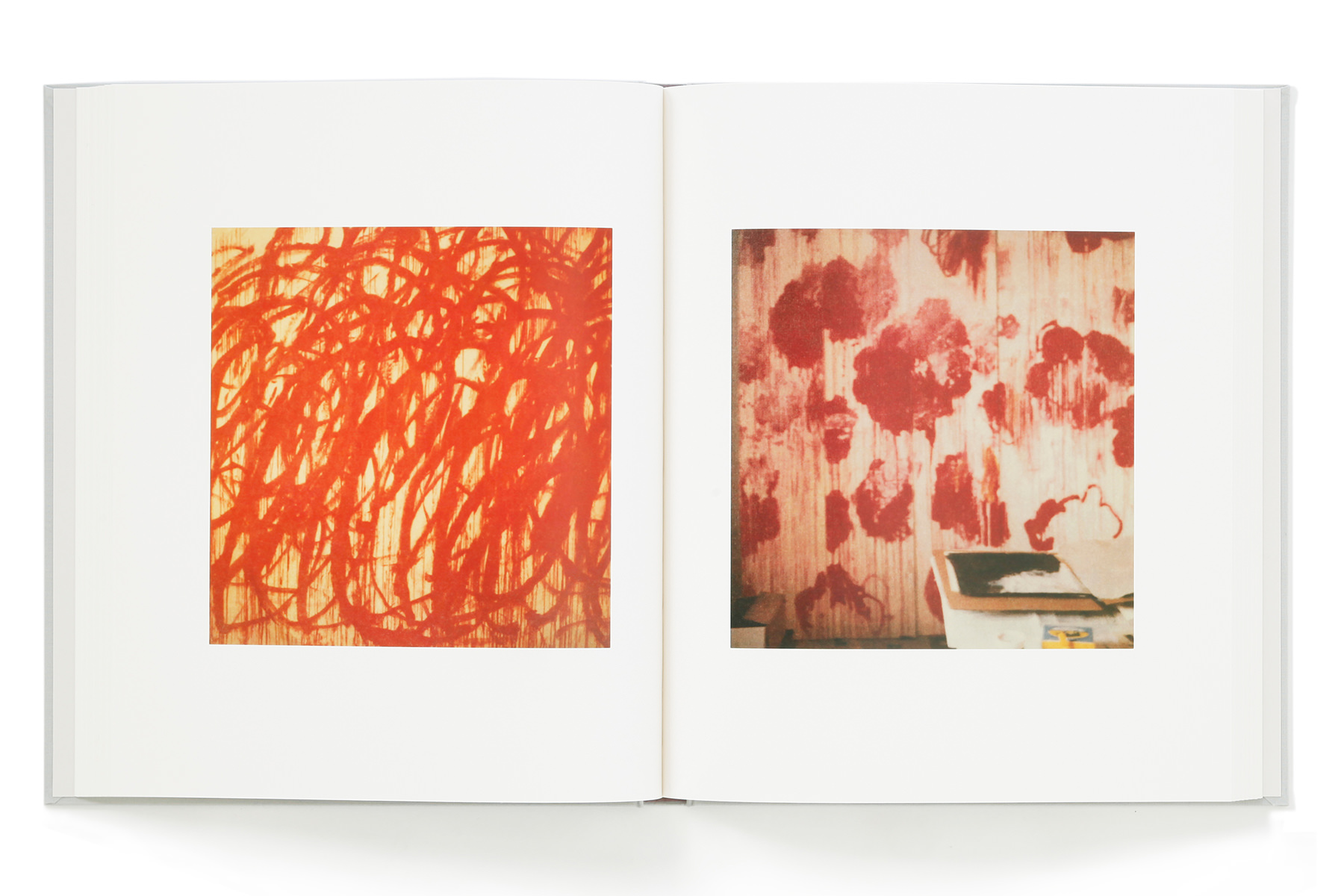 Cy Twombly Photographs: Lyrical Variations – torch press