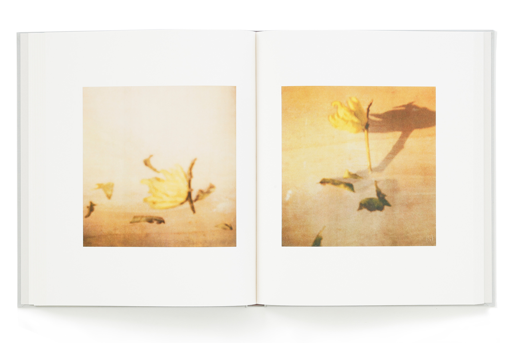 サイ・トゥオンブリーの写真 －変奏のリリシズム－ – torch press