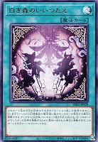 白き森のリゼット【遊戯王トレカお買得価格通販：CBトレコロ】