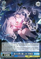 キラキラ笑顔の魔法 初音ミク【ヴァイスシュヴァルツトレカお買得価格