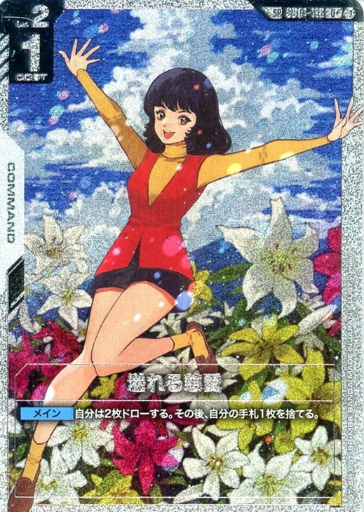 溢れる慈愛【ガンダムカードゲームトレカお買得価格通販：CBトレコロ】