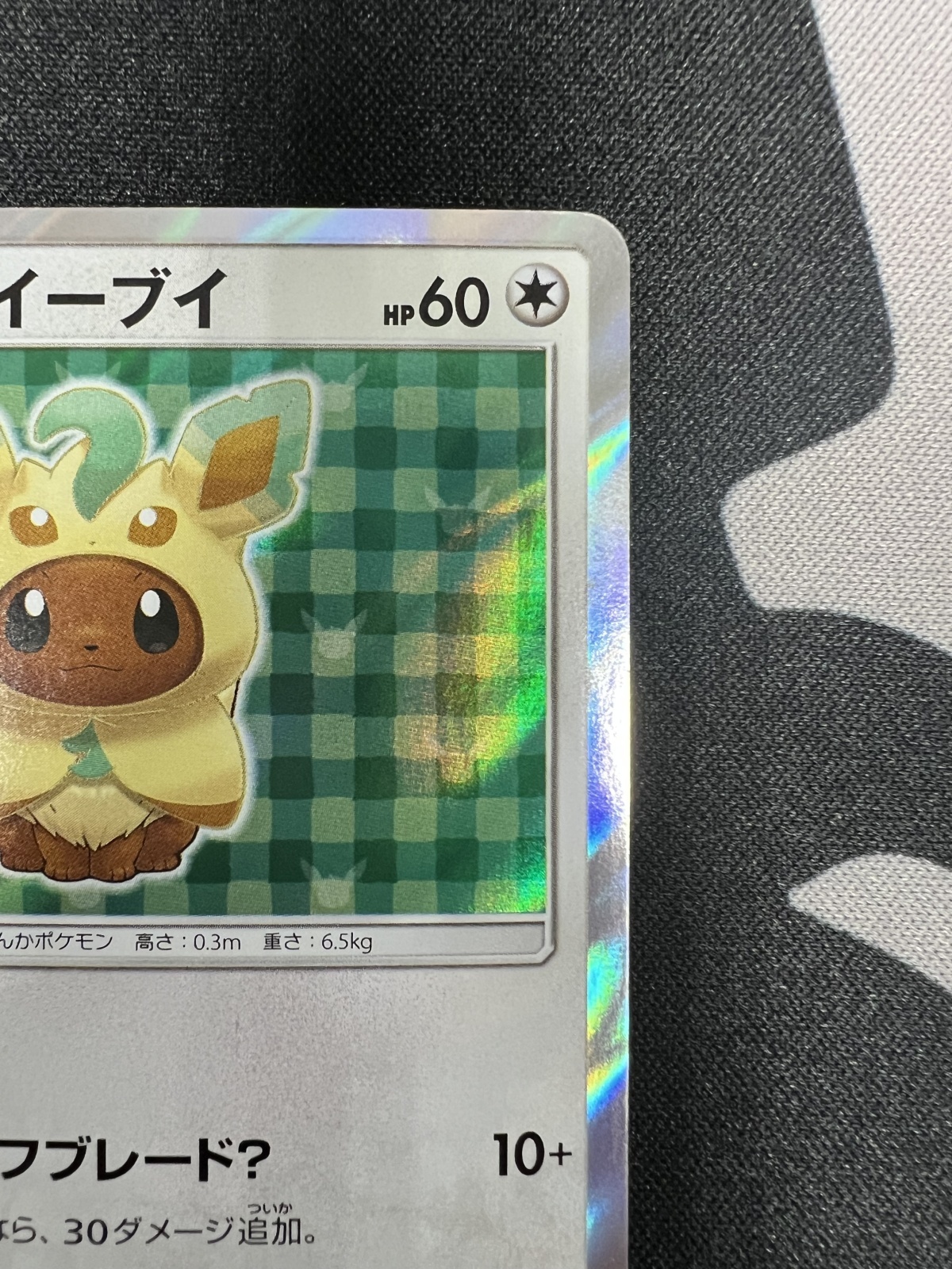 状態B】ポンチョを着たイーブイ(リーフィア)(142/SM-P) - トレカ侍通販